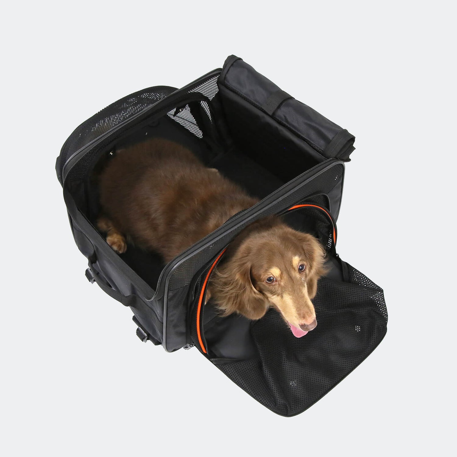 Pet Backpack