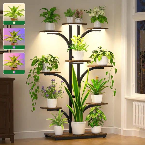 Plants and Stands