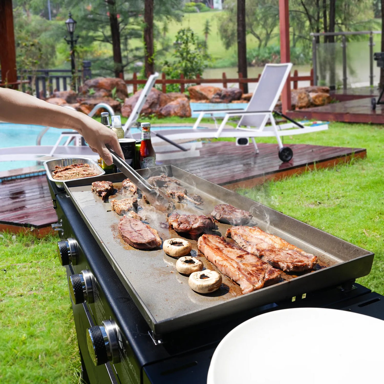 Propane Griddle